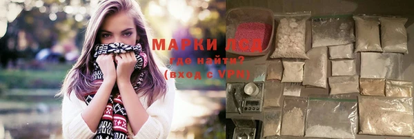 прущие грибы Беломорск