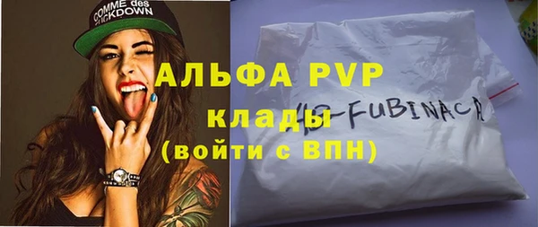 прущие грибы Беломорск