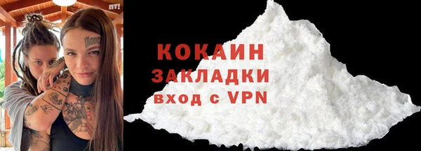 прущие грибы Беломорск