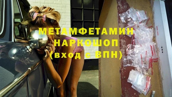 прущие грибы Беломорск