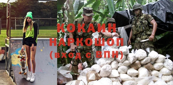 прущие грибы Беломорск