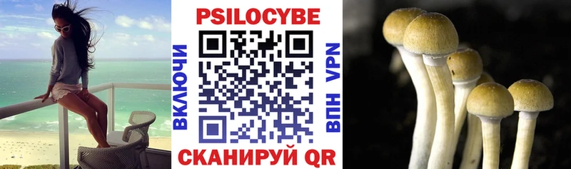 Купить где Можайск Псилоцибиновые грибы мицелий